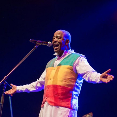 WOMAD THE WORLDS FESTIVAL UK 2015 - 24-26.07.15