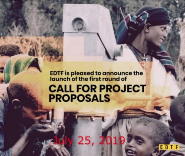 Ethiopian Diaspora Trust Fund Call For Project Proposals 2019