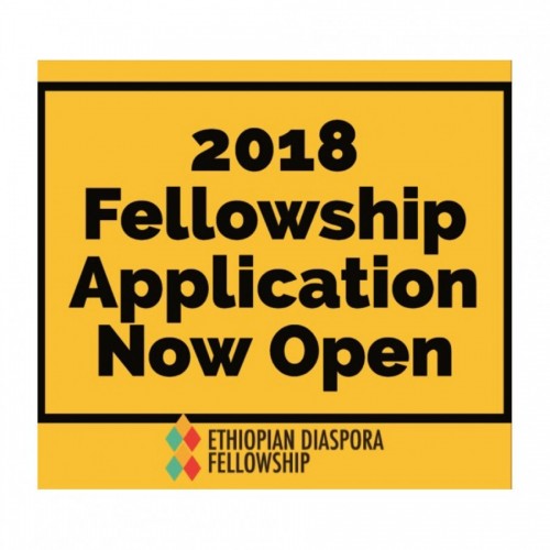 Ethio Diaspora Fellowship Application Now Open