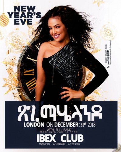 New years Eve Concert Presents Etsegent