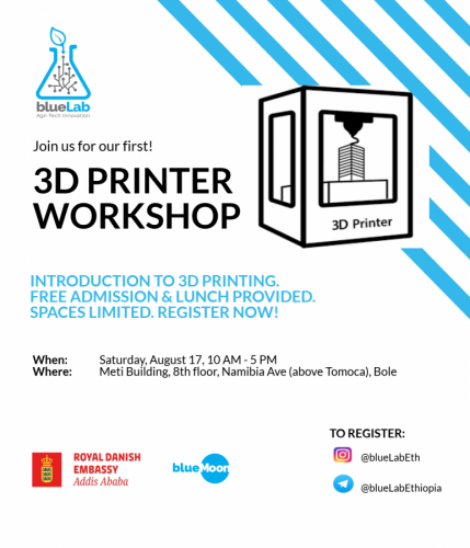 BlueMoonEthiopia 3D Printer Workshop