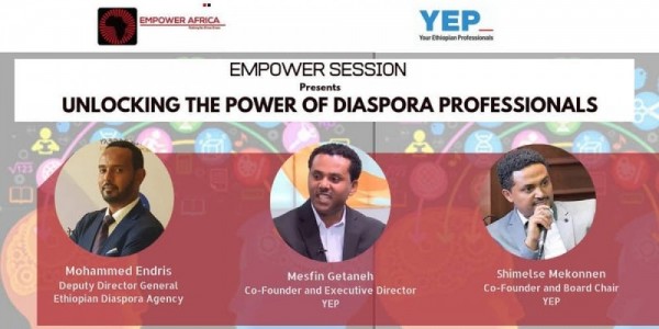 Unlocking the Power of Diaspora Professionals