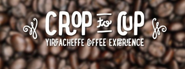 Crop to Cup - Yirgacheffe Coffee Experience - 28.05.05